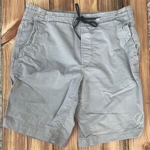 American Eagle Outfitters Gray Men's Shorts